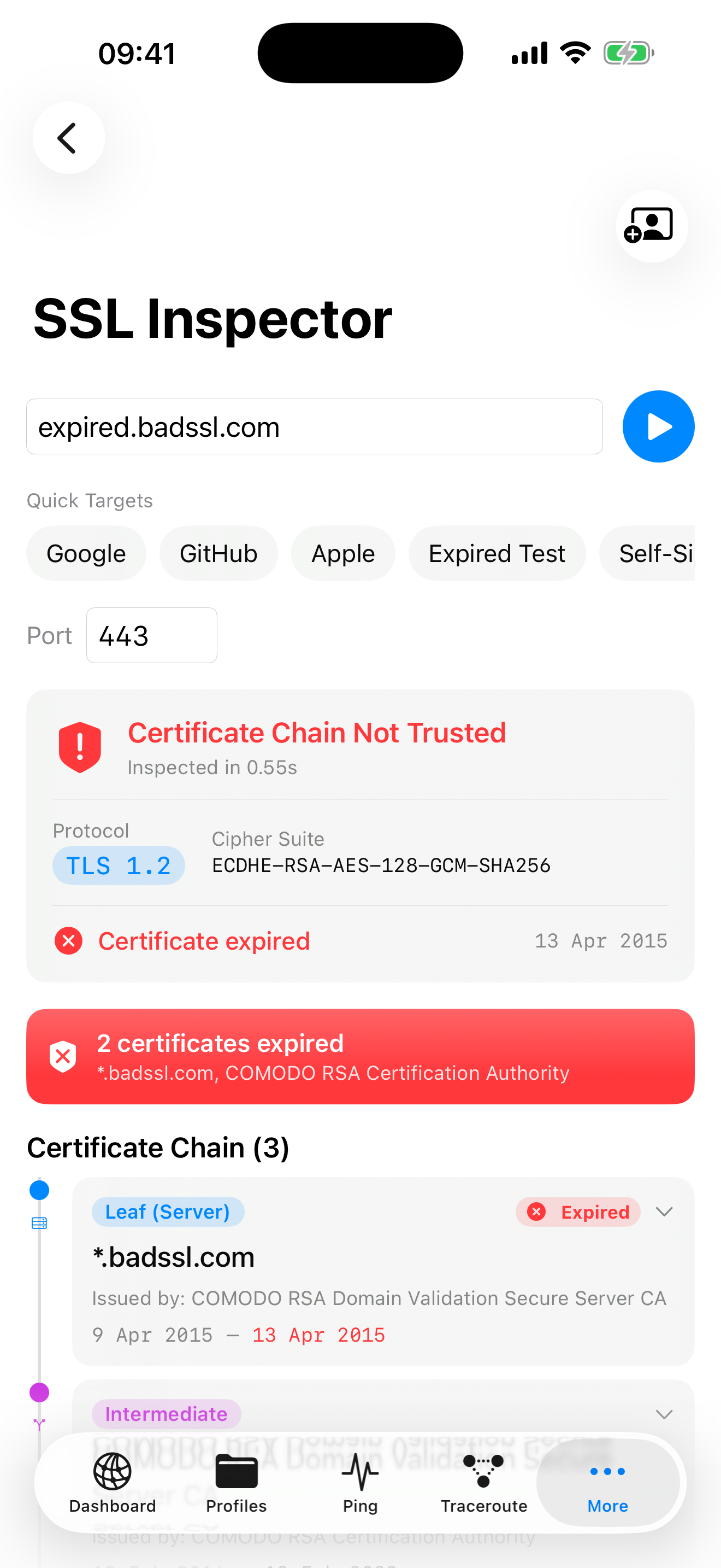 NetKit Pro SSL Inspector showing certificate chain, protocol details, and expiry information